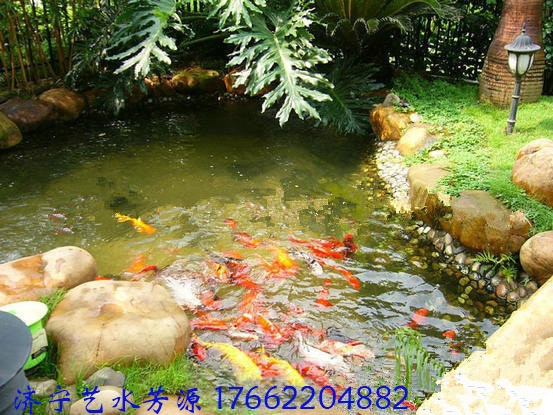 你知道別墅魚池水處理設(shè)備的有什么優(yōu)勢？