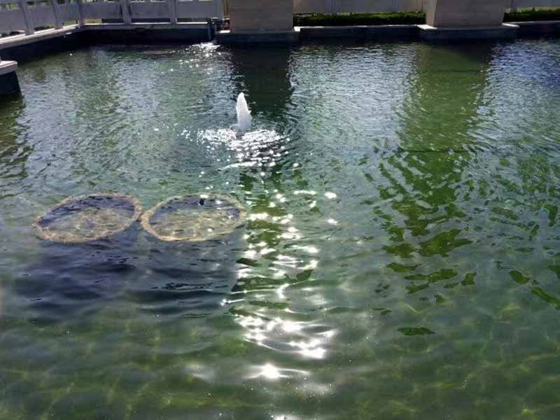 魚(yú)池過(guò)濾器客戶(hù)實(shí)地效果展示